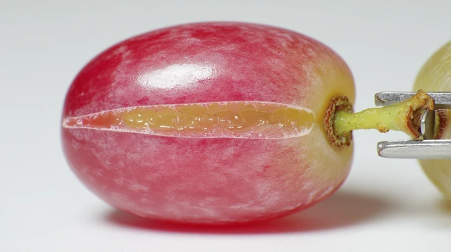 Ultra-Macro Grape Incision: Skin Detail