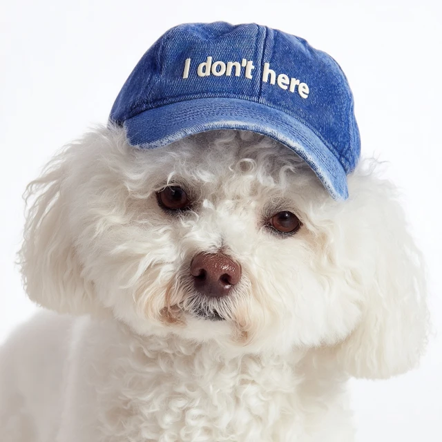 Funny Bichon Frise Dog Wearing I Dont Work Here Cap