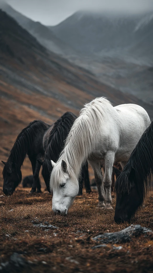 Horses on a Mountain Slope Misty Moody Atmosphere