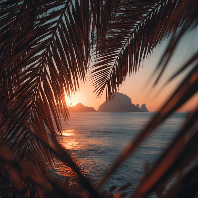 Ibiza Sunset View Through Palm Leafs Cinematic
