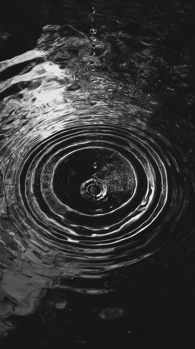 Grayscale Water Ripple Top View