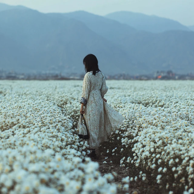 Chinese Girl in a Flower Field Photo