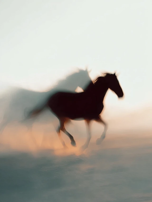 Galloping Horse: Black and White Photo on the Steppe
