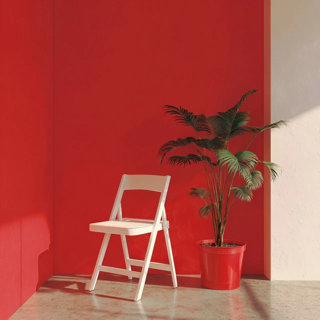 Minimalist Interior Red Chair and Plant Installation