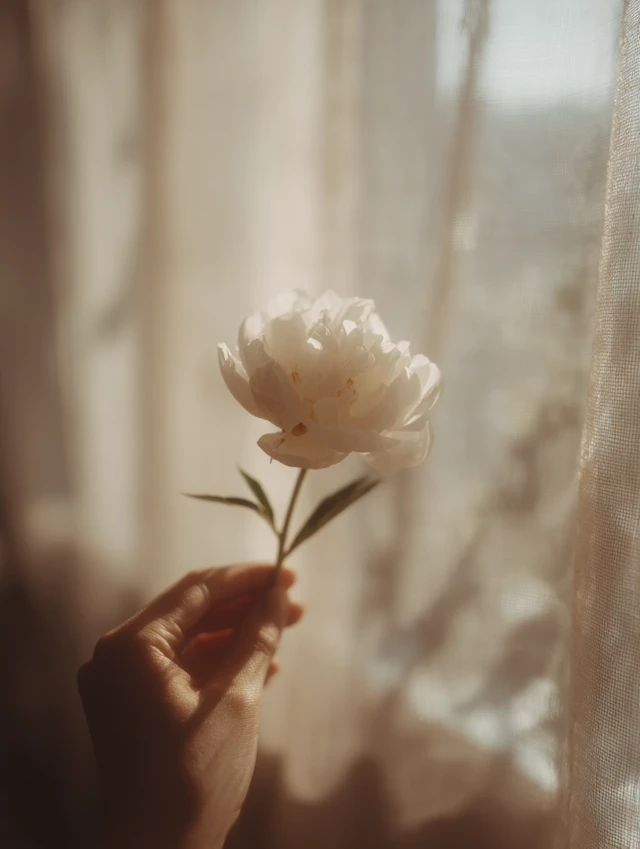 Hand Holding Peony Flower Dreamy and Airy