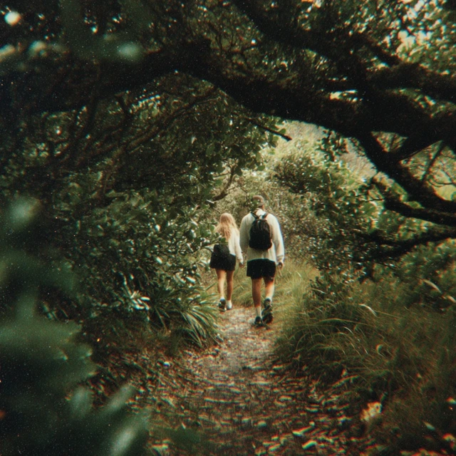 Long Bay New Zealand VHS Still Nature Scene