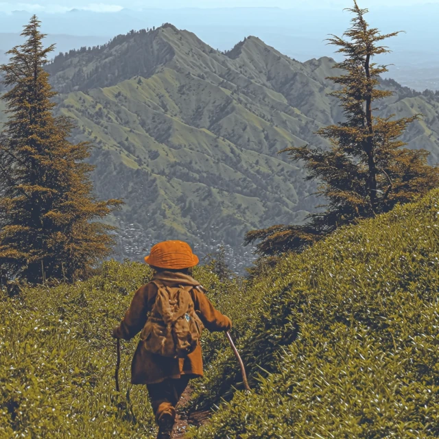 Hiking in the Mountains Scenic Forest Trail