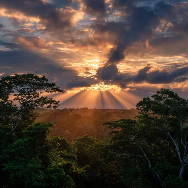 Yucutan Rainforest Sunset Photography