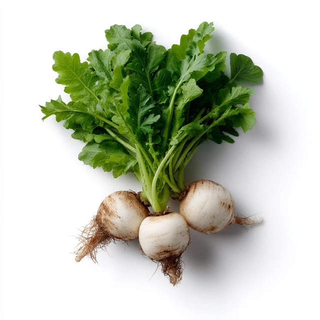 White Daikon Radish Vegetable Cutout PNG on White