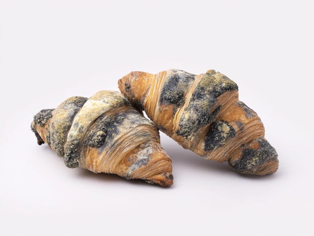 Moldy Croissants on White Background Photography