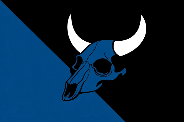 Minimalist Pirate Flag Design with Horned Skull