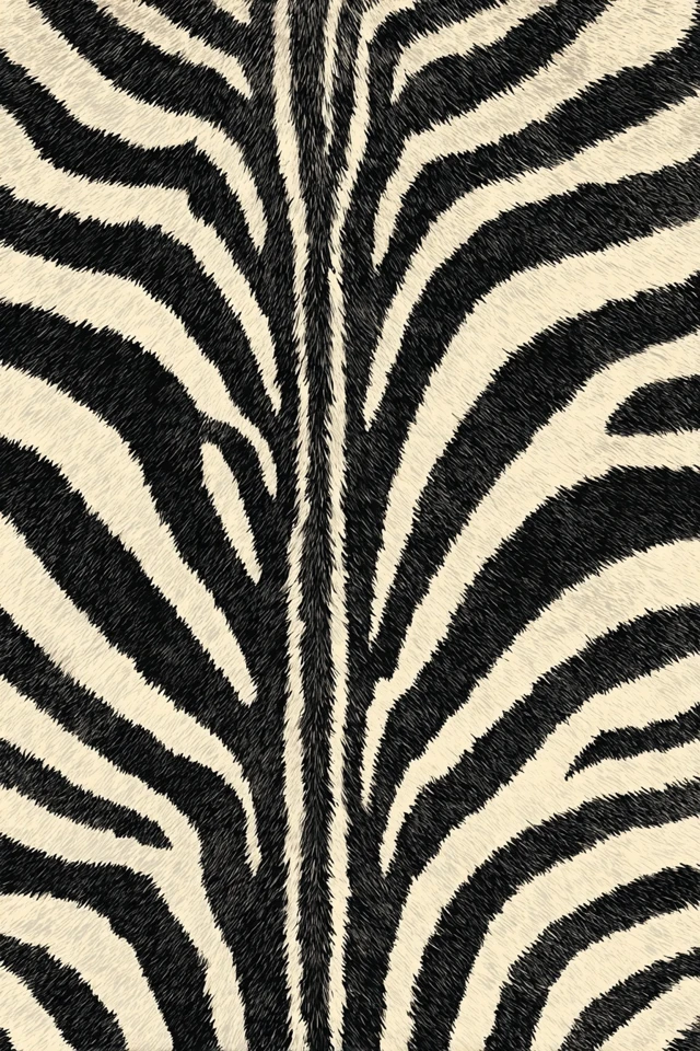Zebra Skin Pattern Seamless Illustration