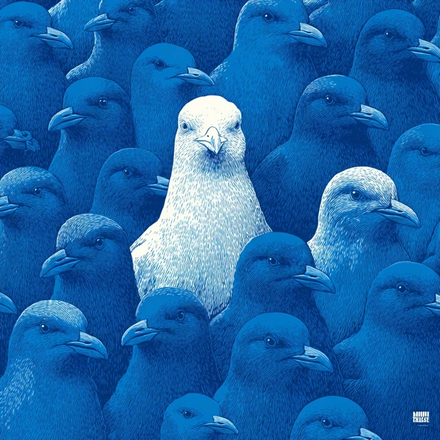 Seagulls Illustration Individuality and Nonconformity