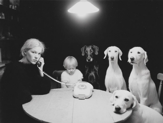 Black and White Portrait Woman Dogs Domestic Chaos