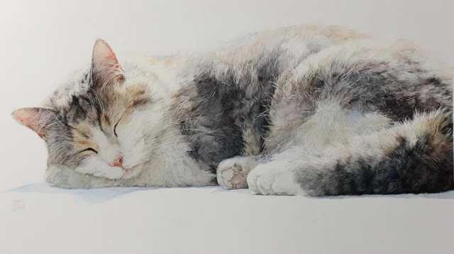 Watercolor Cat Illustration Peaceful Pet Portrait