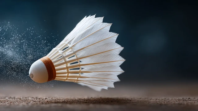 Badminton Shuttlecock Bird Speed Grace Movement