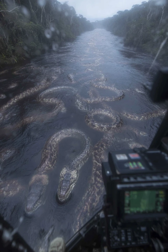 Amazon River Aerial View with Giant Snakes