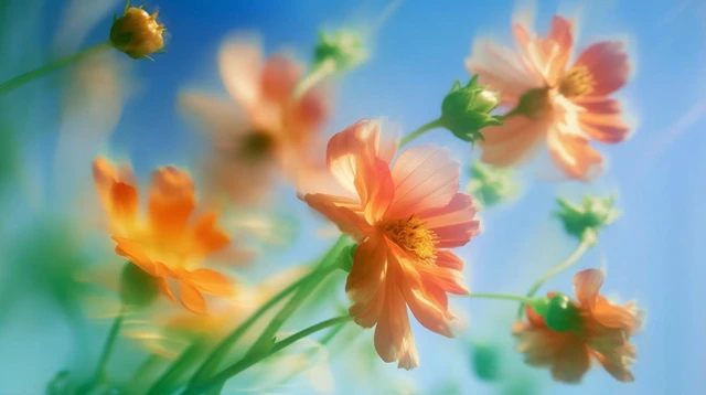 Dreamy Flowers in Pastel Colors