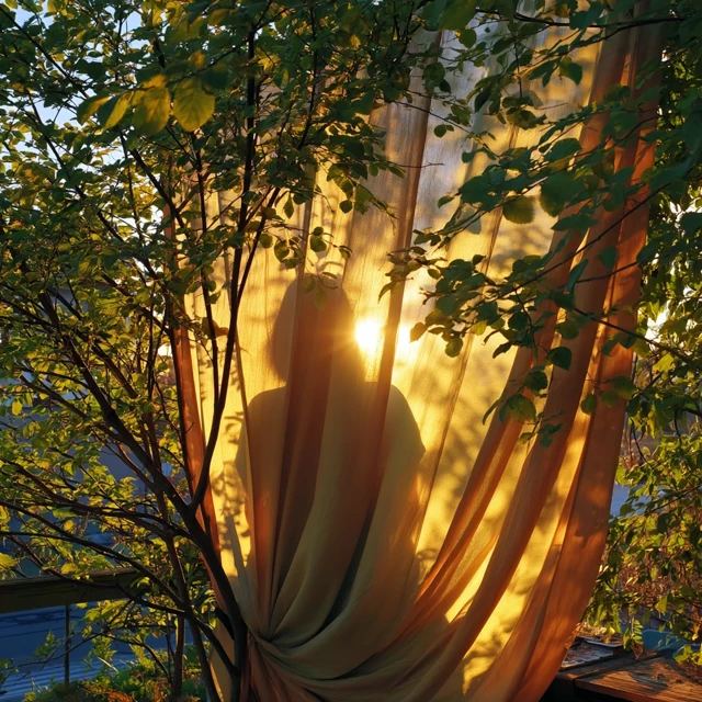 Golden Hour Silhouette: Girl and Fabric