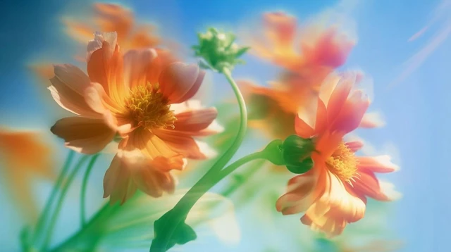 Dreamy Flowers in Pastel Colors