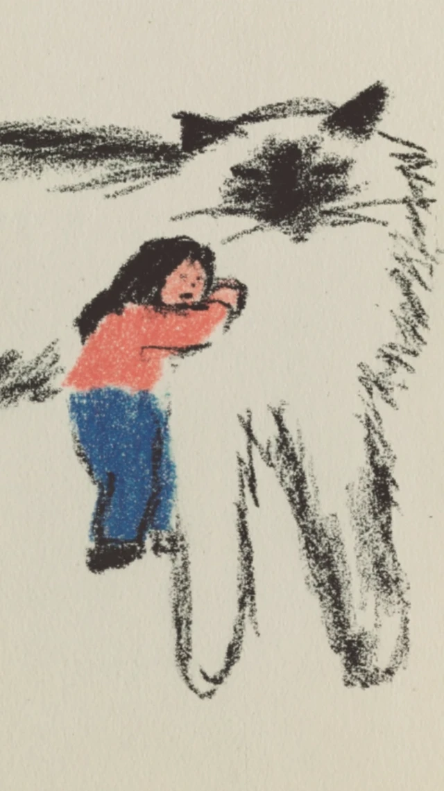 Cute illustration of a person and a giant Ragdoll cat