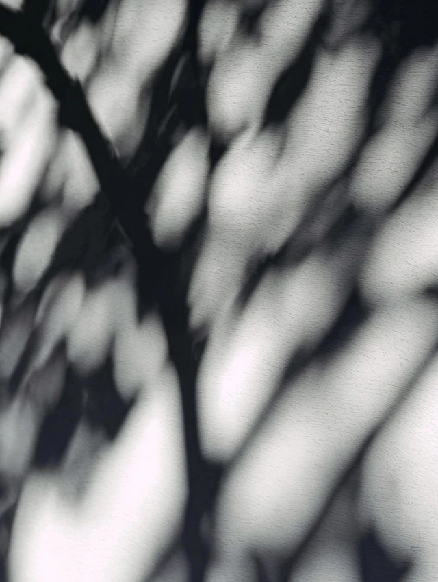 Shadows and Light Natural Pattern