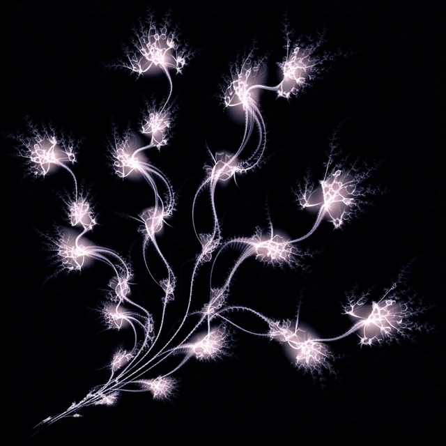 Fractal Dance Silhouette