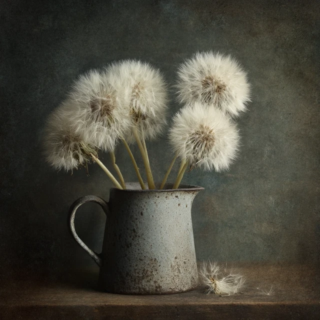 Fluffy Dandelions in Distressed Cup