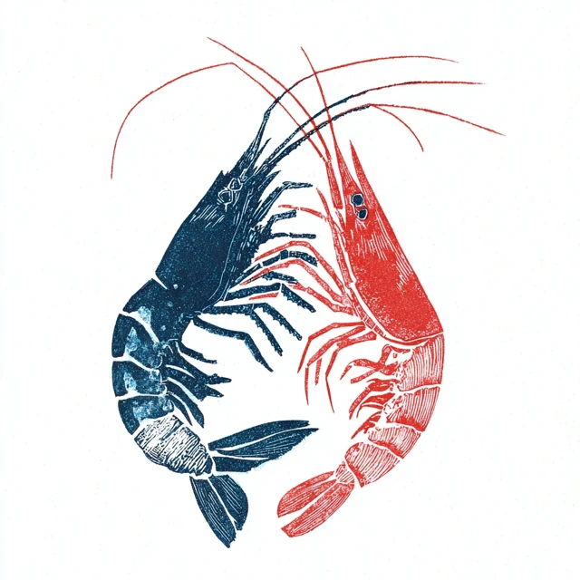 Shrimp Linocut Art Print Two Color Design