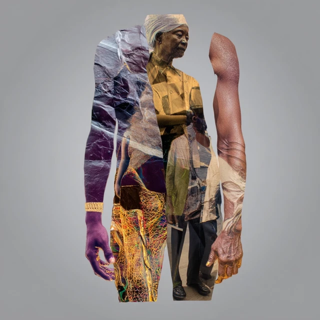 Abstract Anatomical Figure of Life Phases