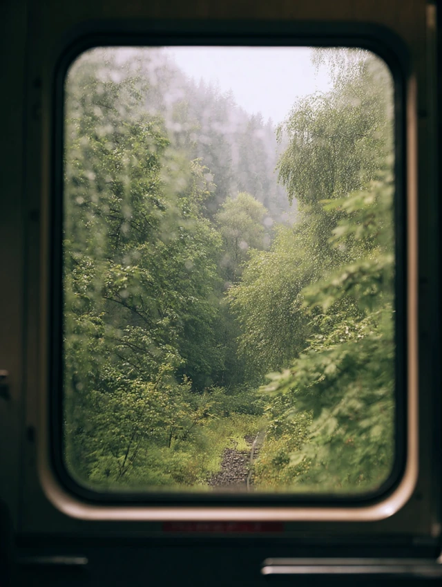 Train Journey Through Forest Film Photography