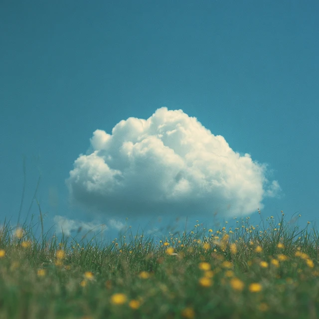 Cloudscape Soft Blue Sky and Green Meadow Photography