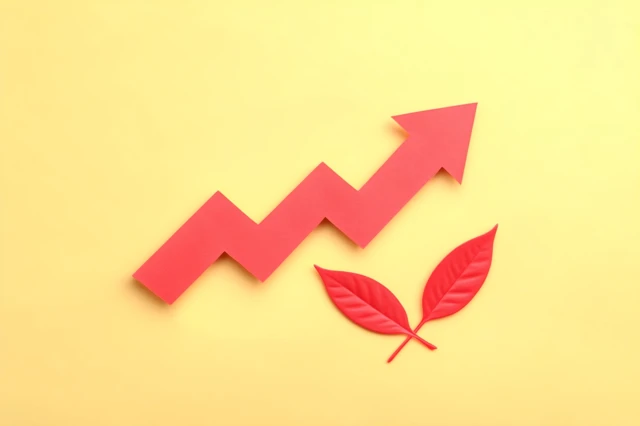 Financial Growth Chart Investment Graph