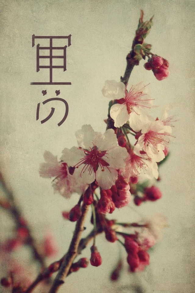 Japanese Cherry Blossoms Retro Art
