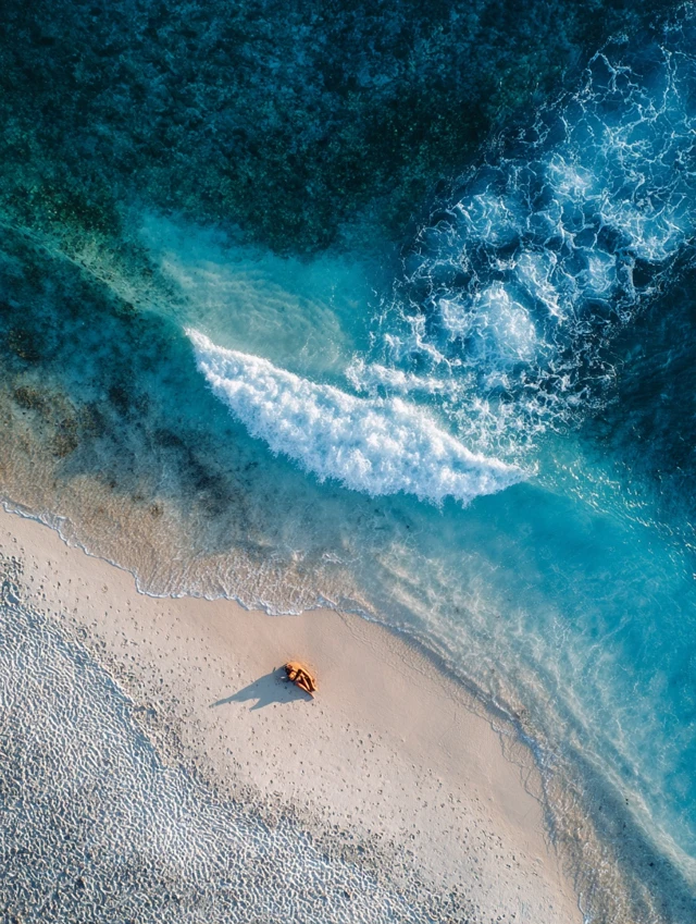 Drone View of White Beach and Turquoise Waters