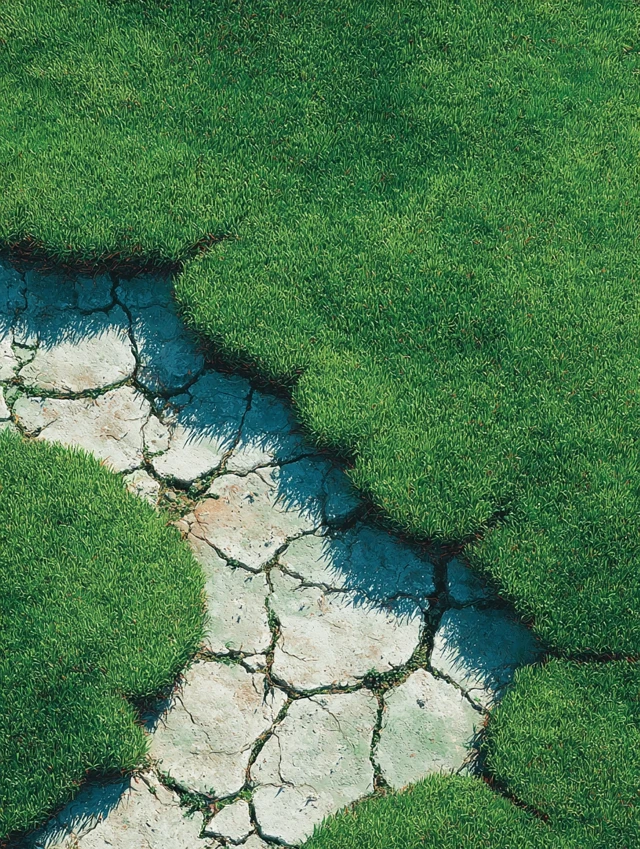 Photorealistic Lawn with Dry Cracked Earth