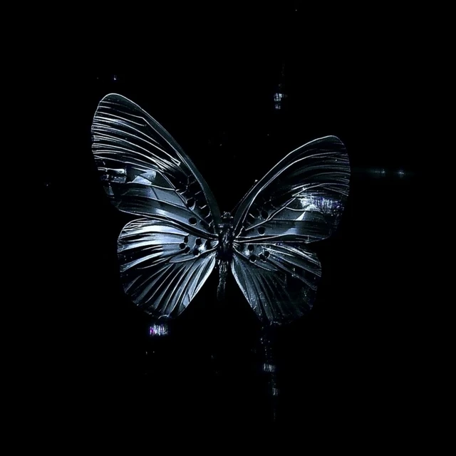 Mysterious Butterflies in Black and White