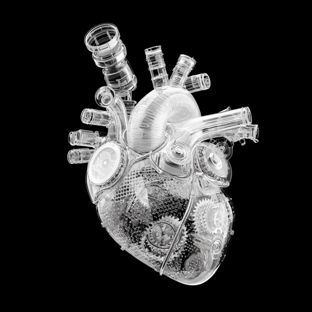 Mechanical Heart Transparent Anatomy Illustration
