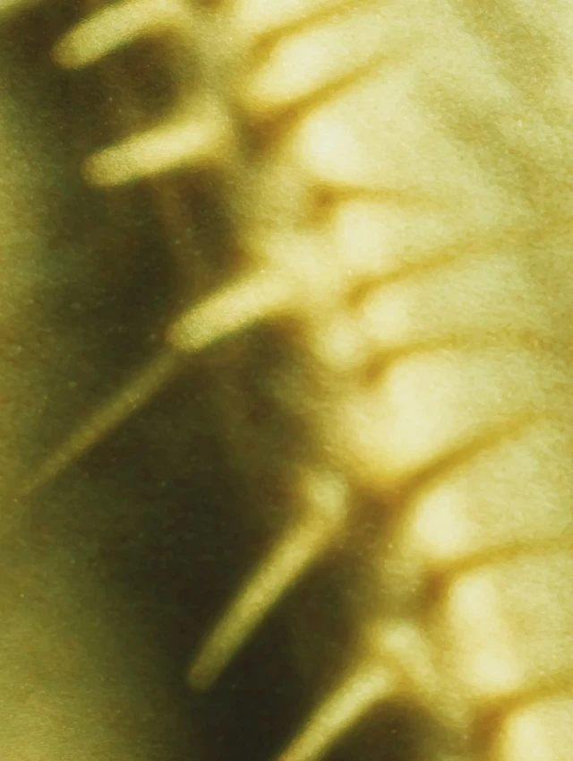 Chiaroscuro Horror Art with Gold Radiance