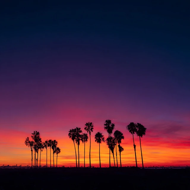 Sunset Silhouette California Palm Trees