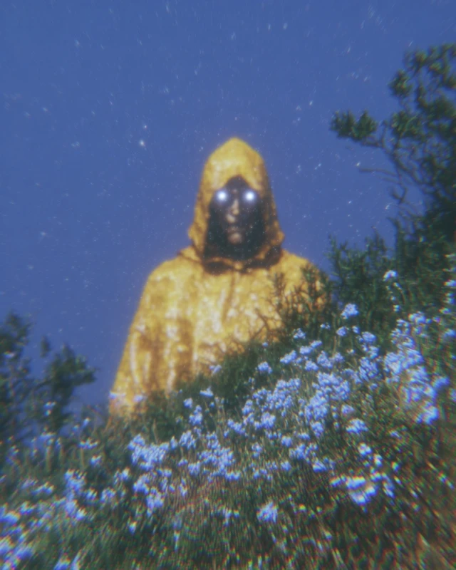 Mysterious Figure Spying on a Kingdom Party