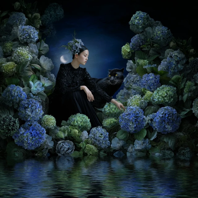Asian Girl Black Leopard Hydrangea Surreal Art