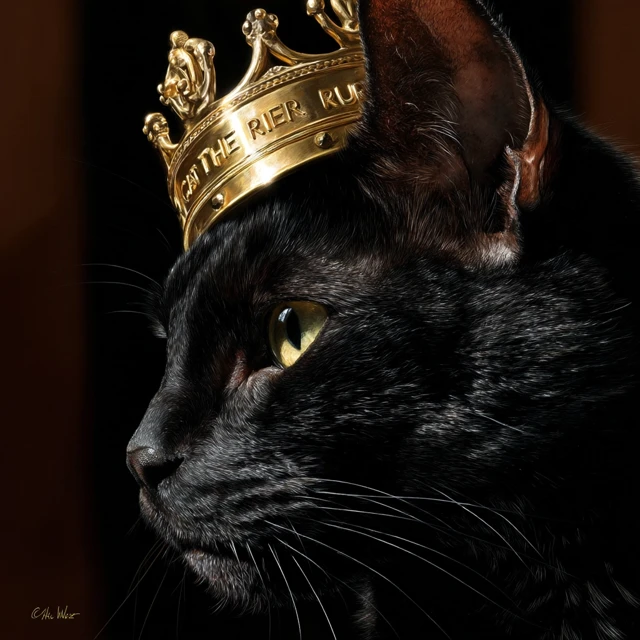 Black Cat The Ruler In Shiny Gold Crown