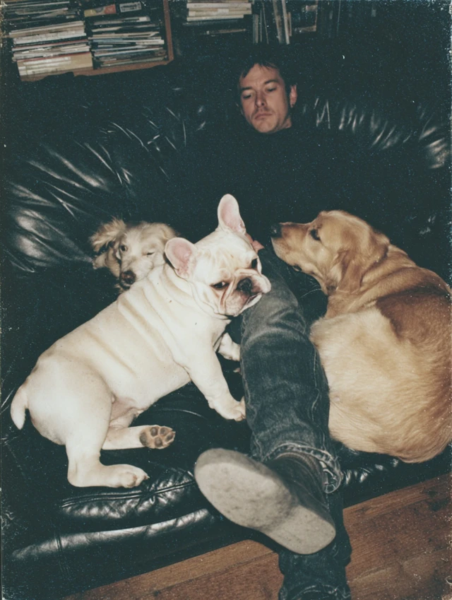 Man Relaxing on Couch with Dogs Vintage Photo