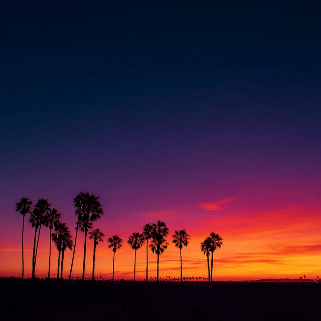 Sunset Silhouette California Palm Trees