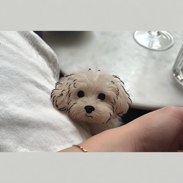 Maltipoo Tattoo Stencil Minimalist Black and White