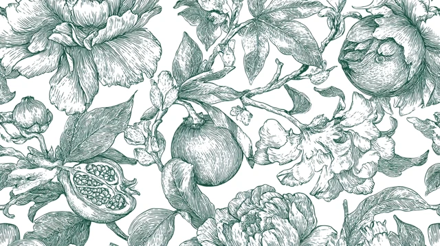 Botanical Line Art Pattern with Flowers and Fruits