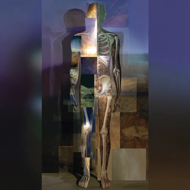 Abstract Anatomical Figure of Life Phases